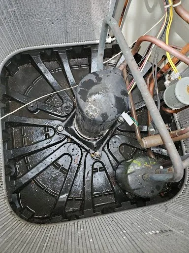 Outdoor condenser cabinet after debris removal