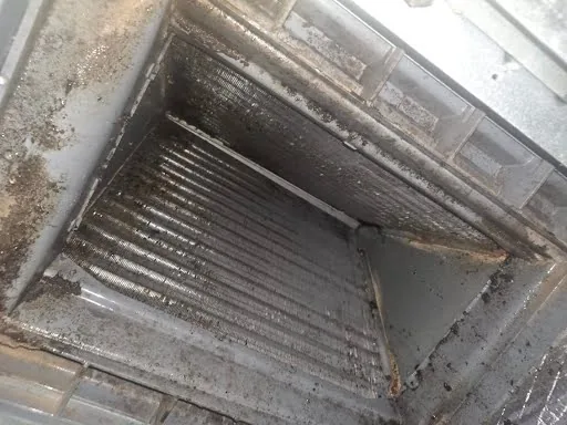 Evaporator coil after cleaning